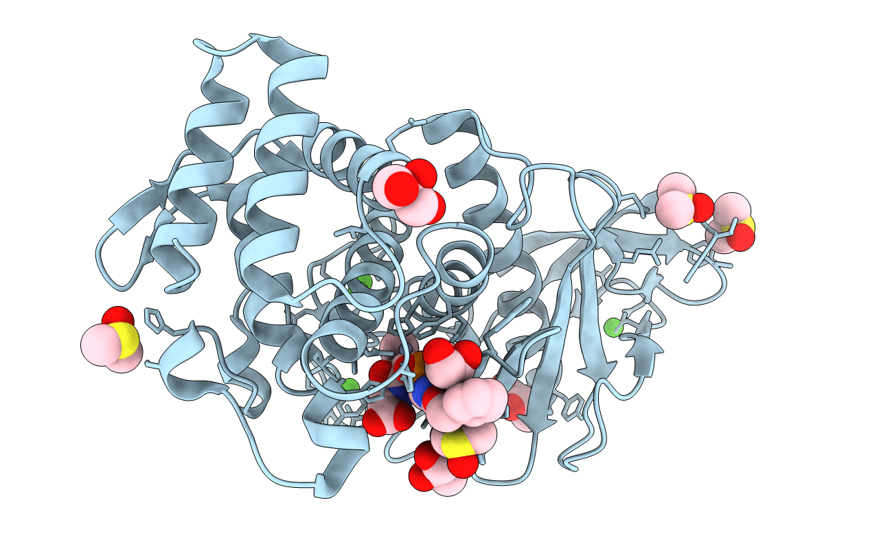3T74 image