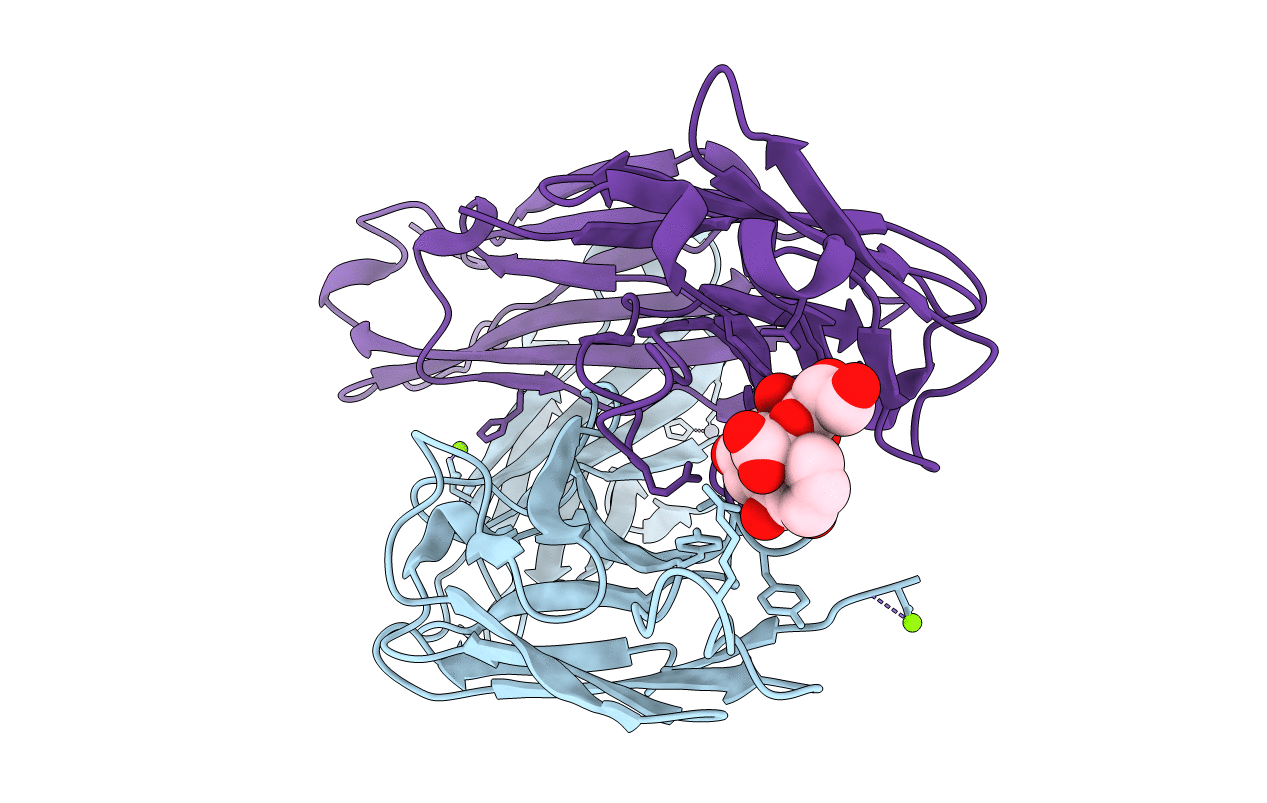 3T77 image