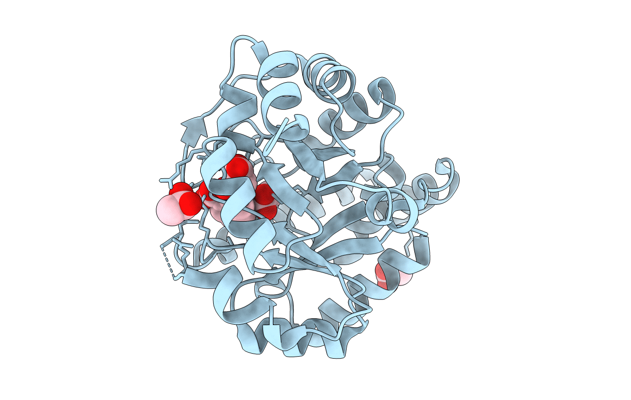 3T78 image