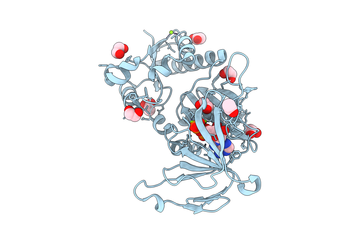 3T7A image