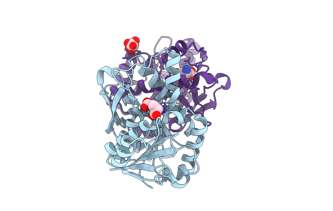 3T7B image