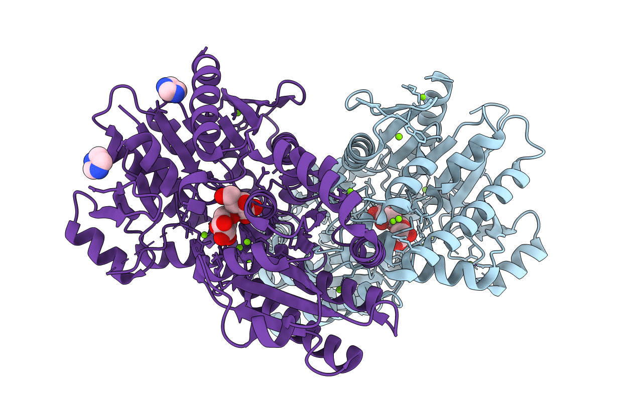 3T7D image