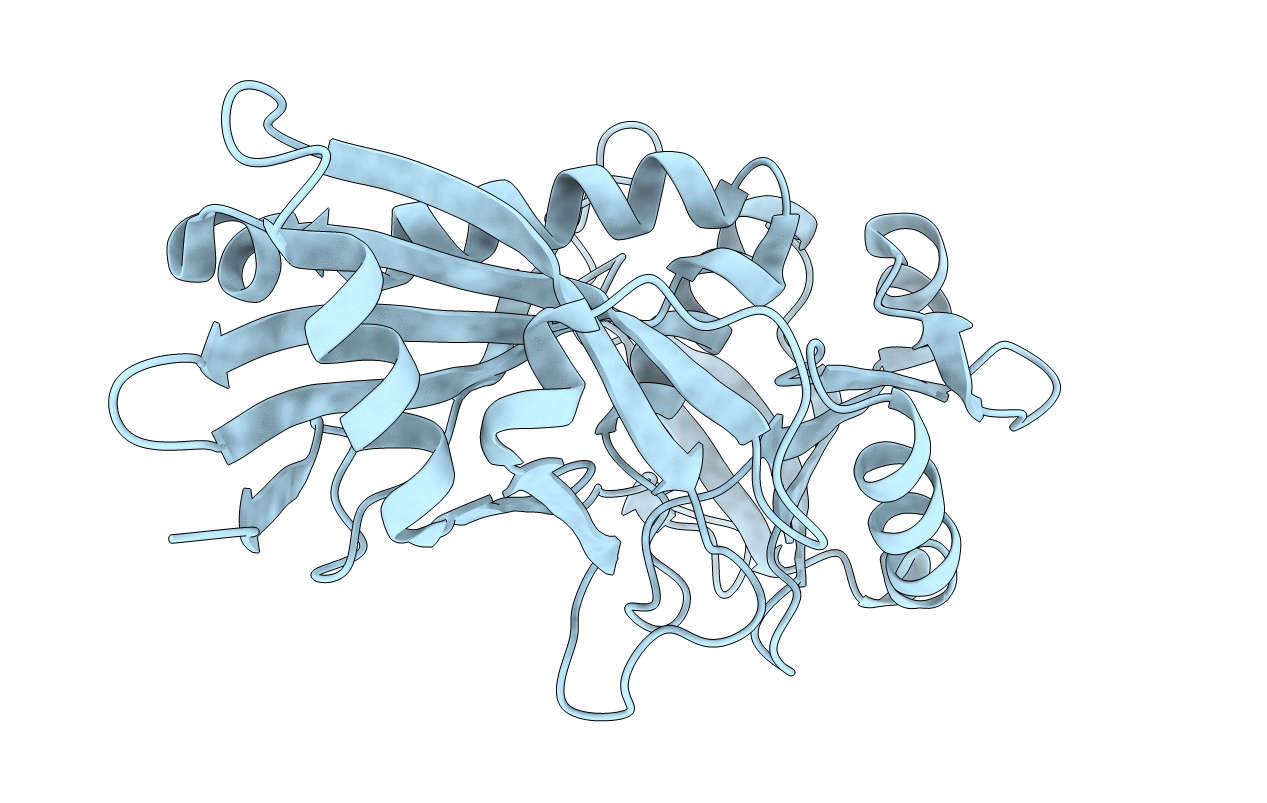 3T7F image