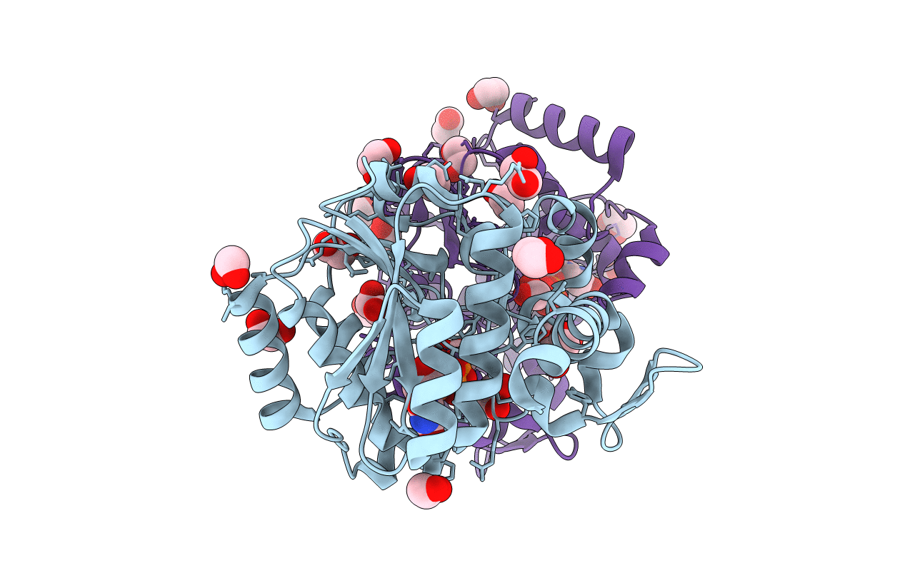 3T7M image