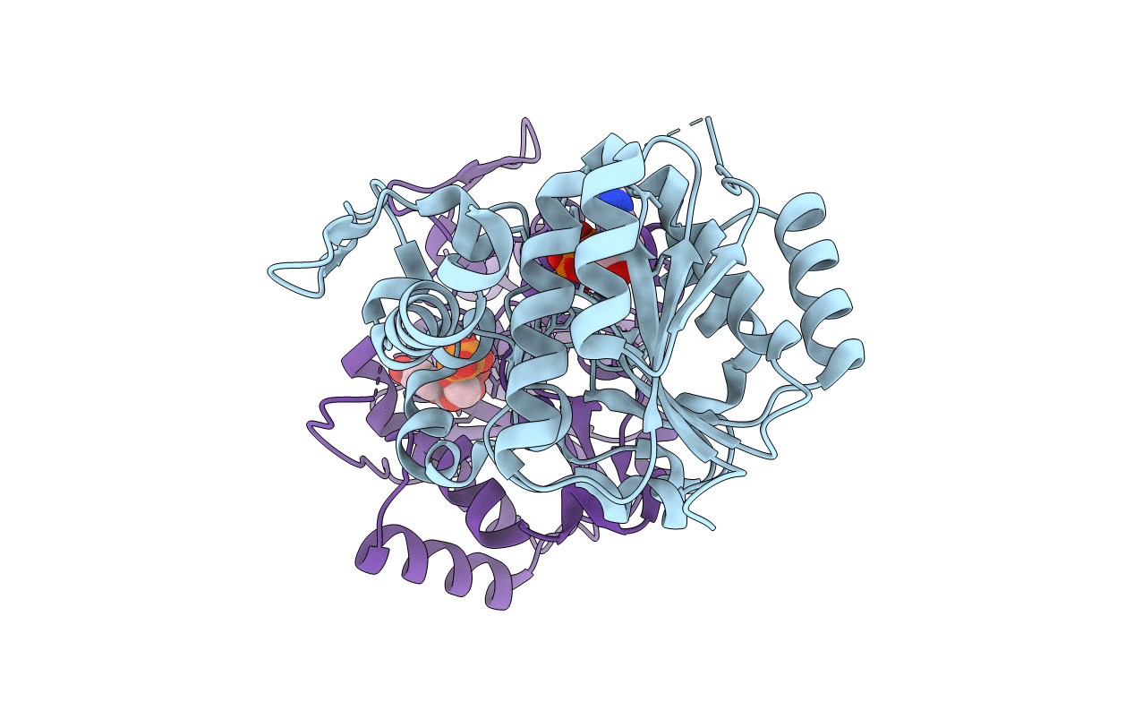 3T7N image