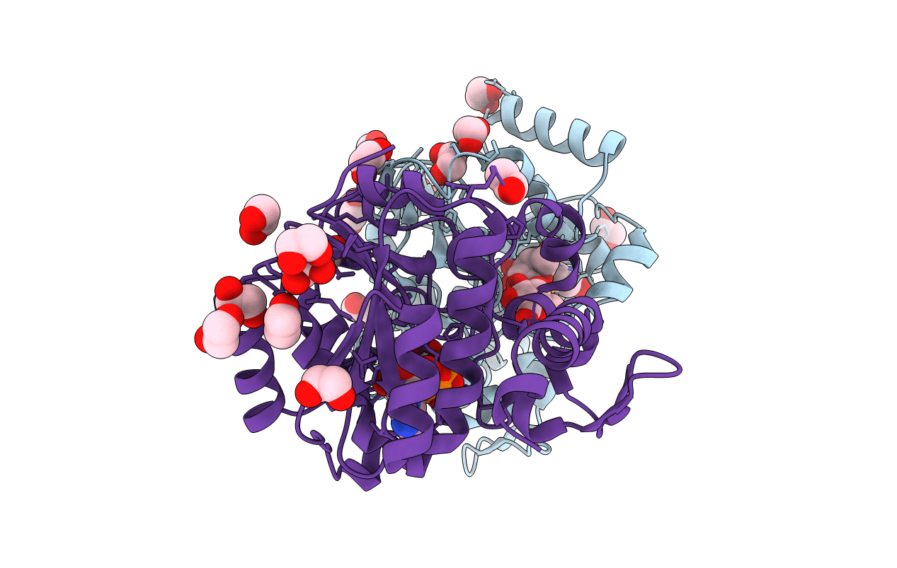 3T7O image