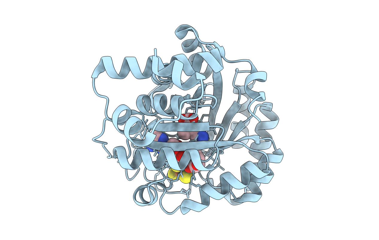 3T7V image