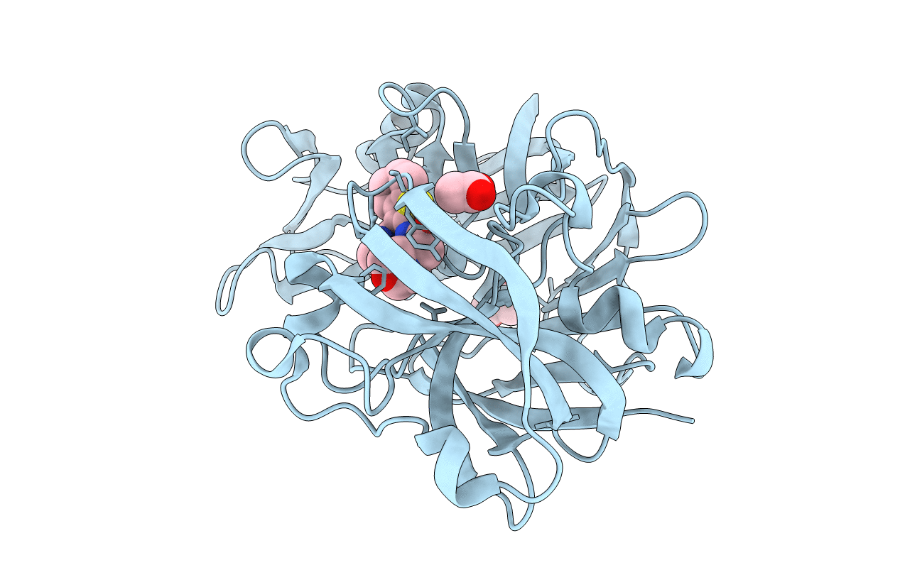 3T7X image