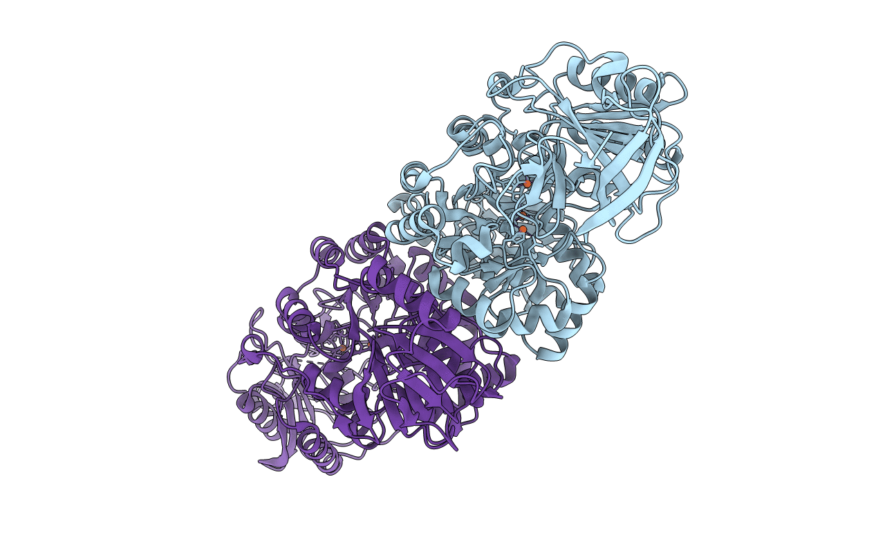 3T81 image