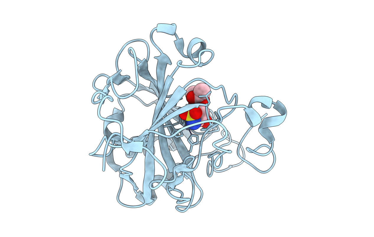 3T82 image