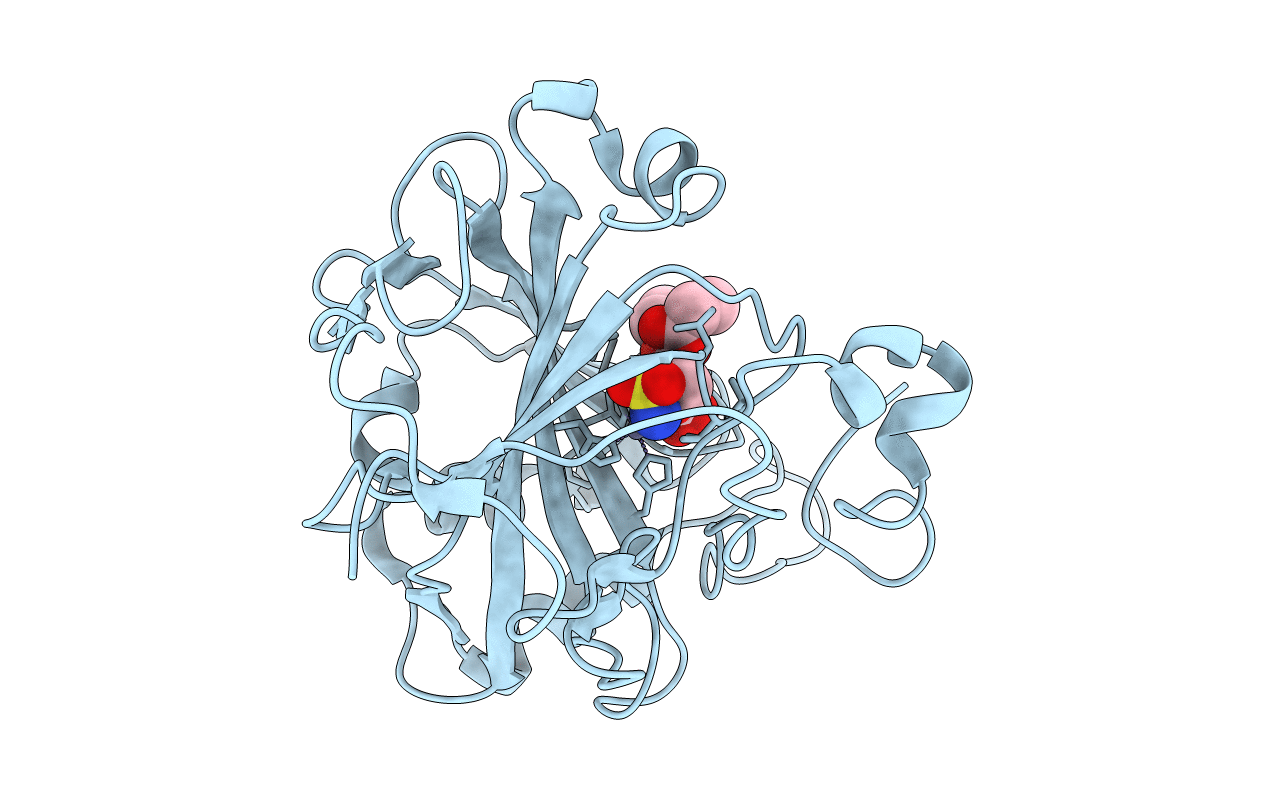 3T83 image