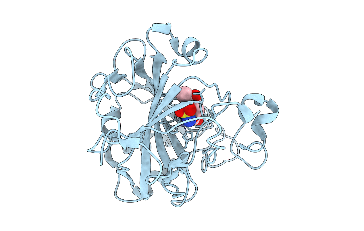 3T84 image