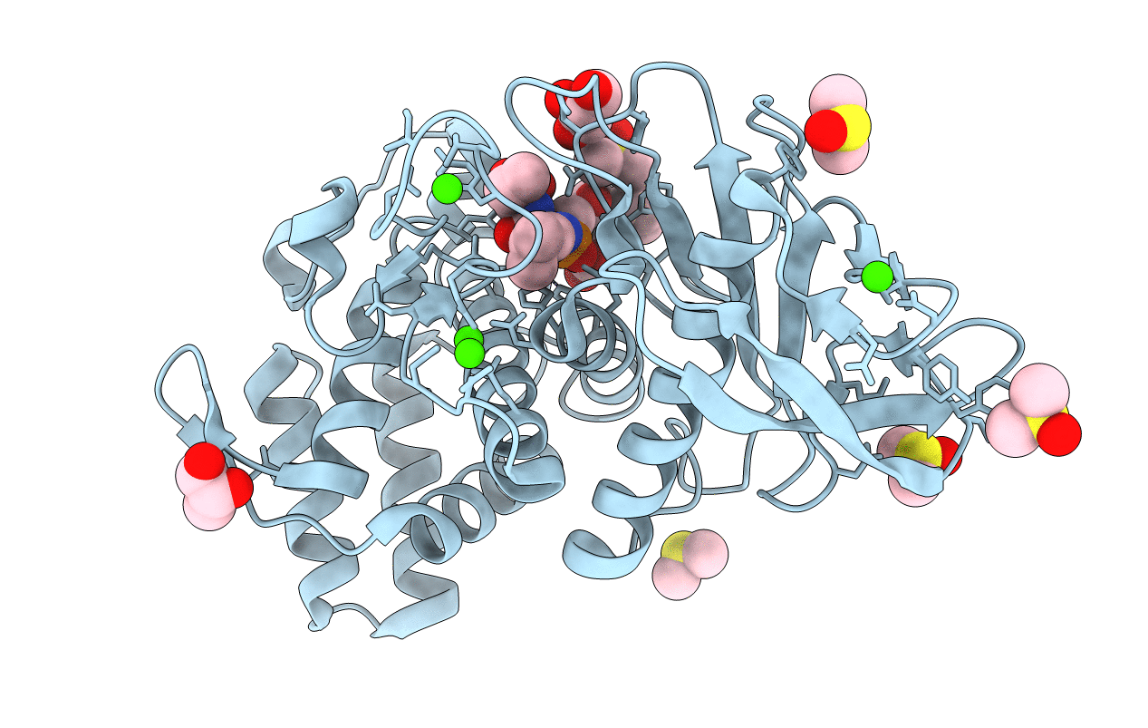 3T87 image