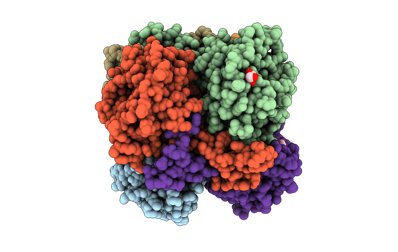 3T89 image