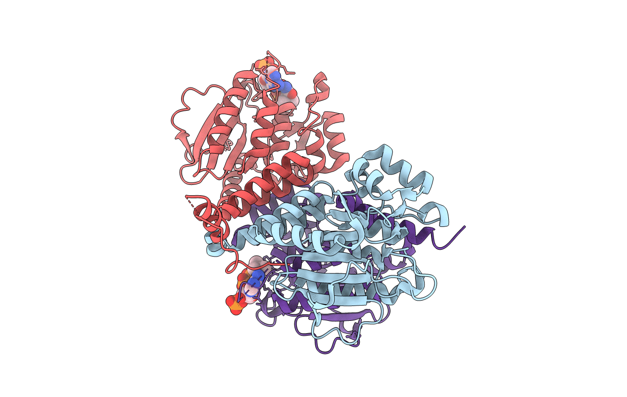 3T8A image