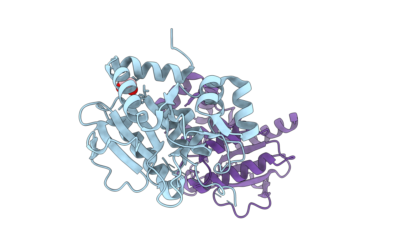 3T8B image