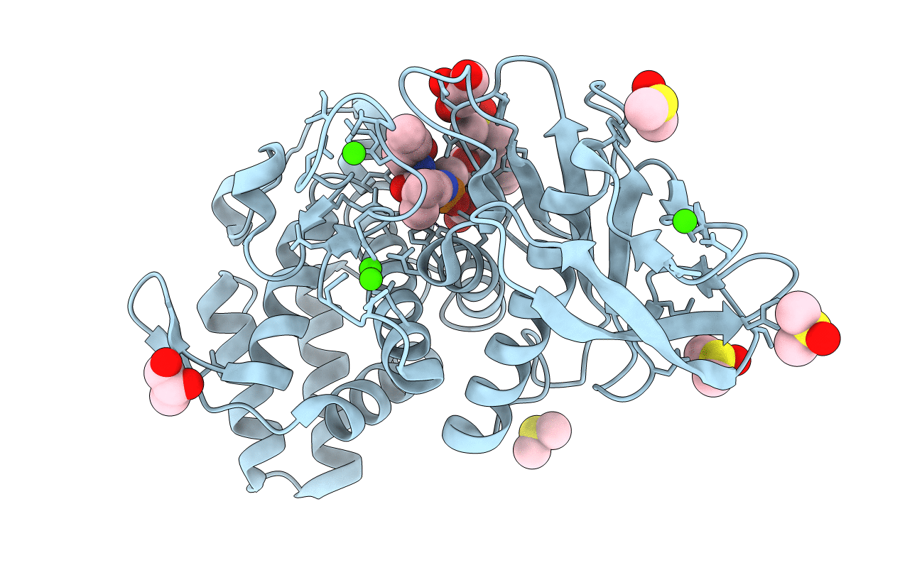 3T8C image