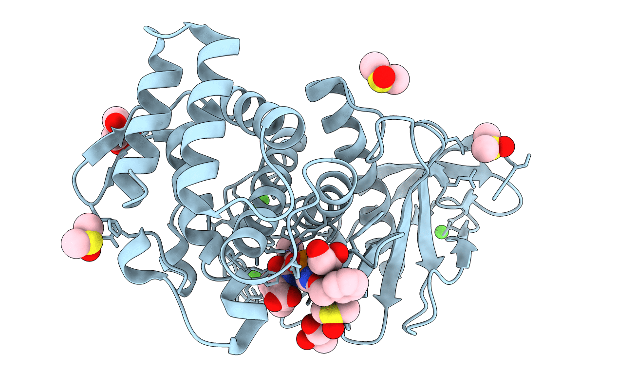 3T8D image
