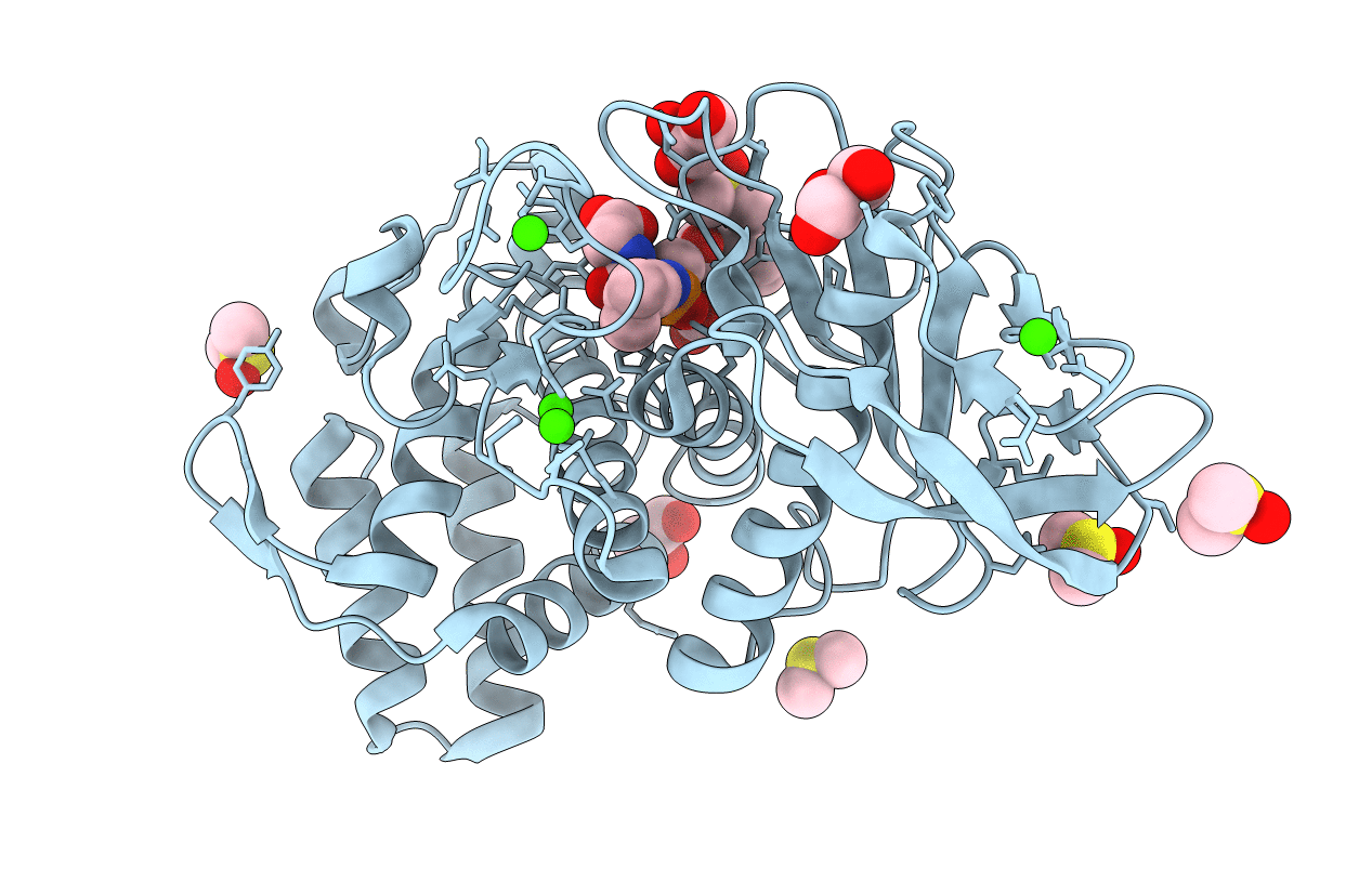 3T8G image