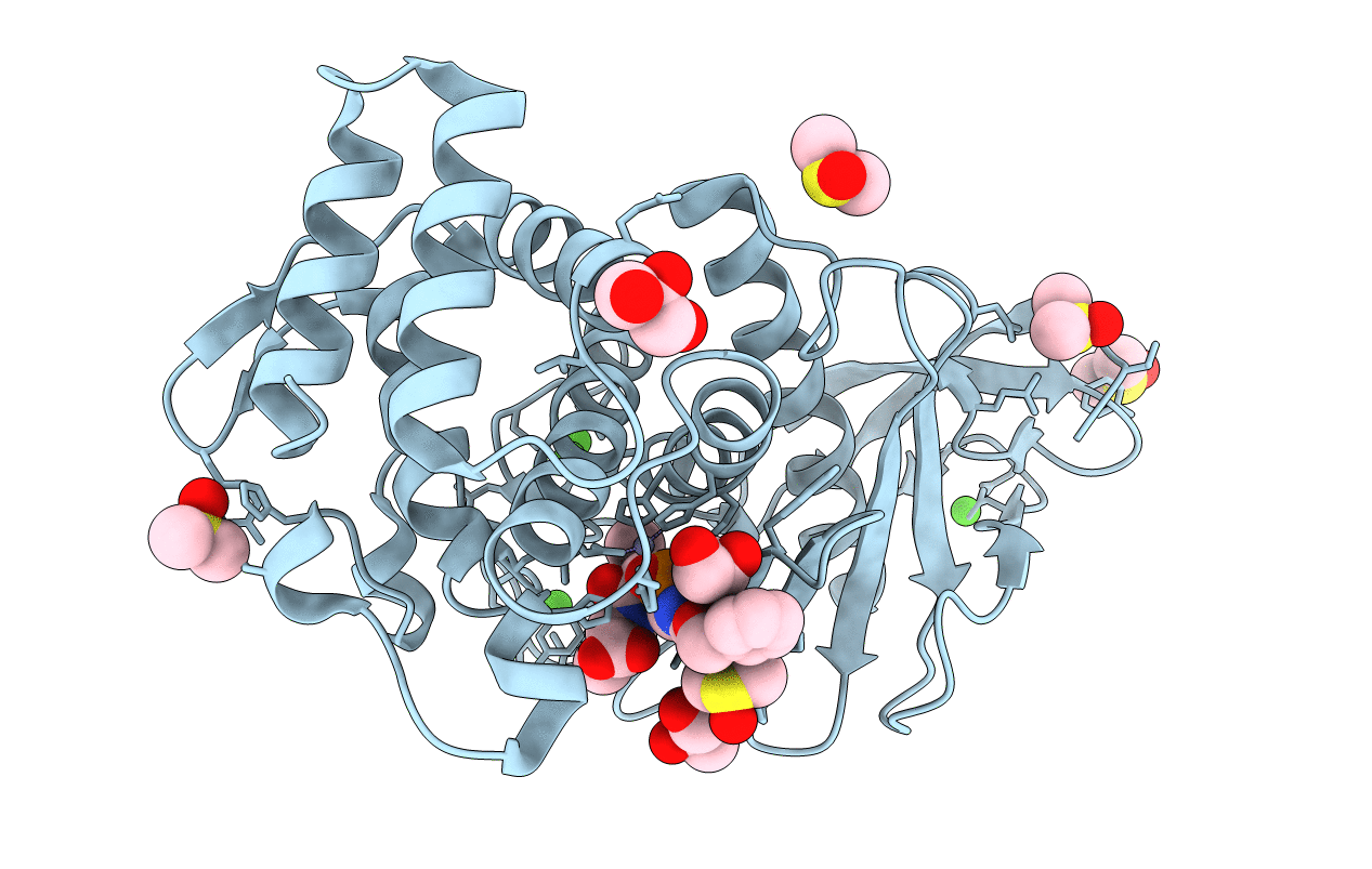 3T8H image