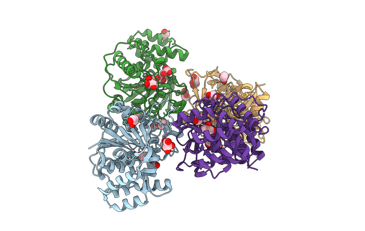 3T8I image