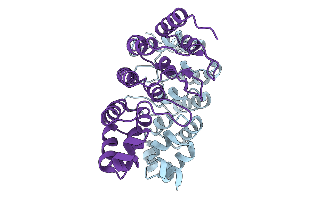 3T8K image