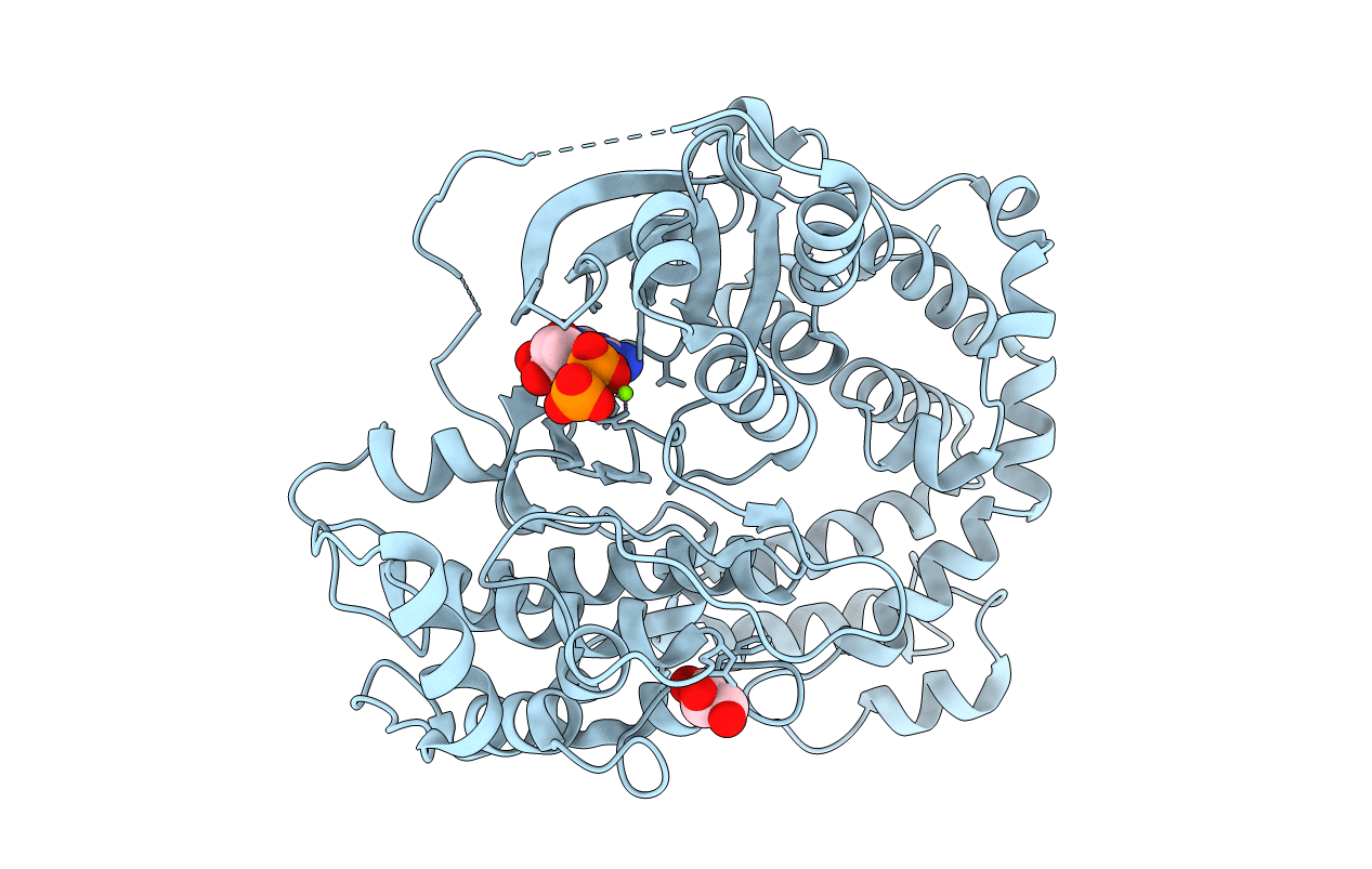 3T8O image