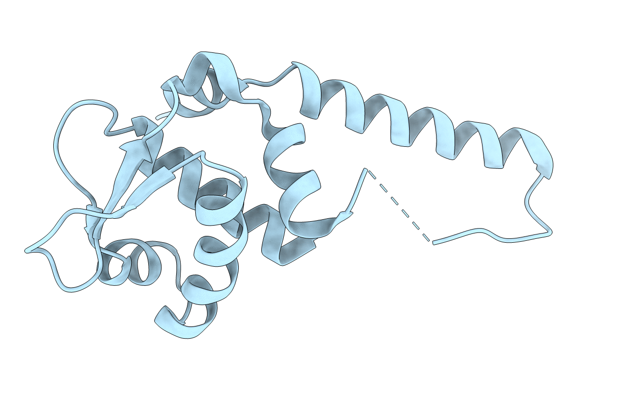 3T8R image