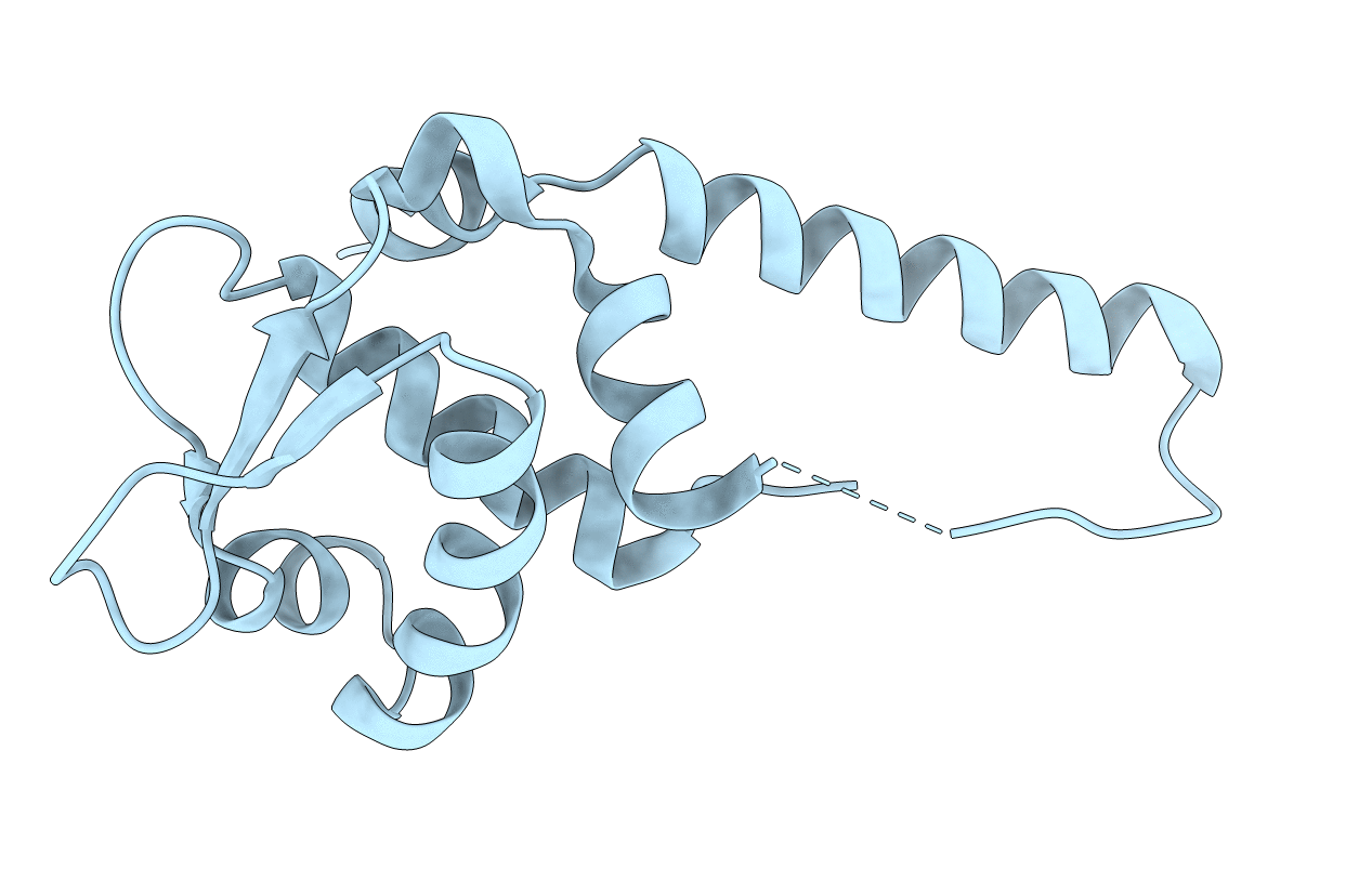 3T8T image