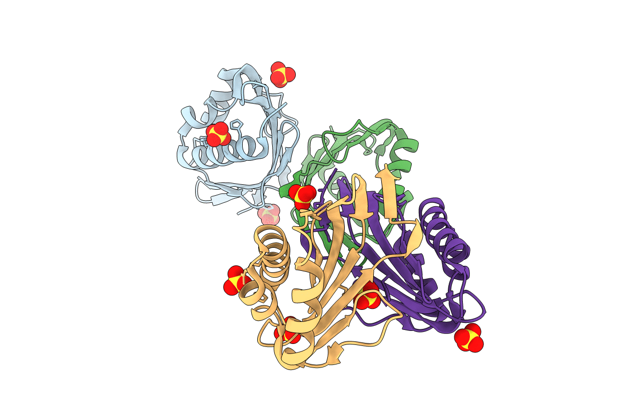 3T8U image