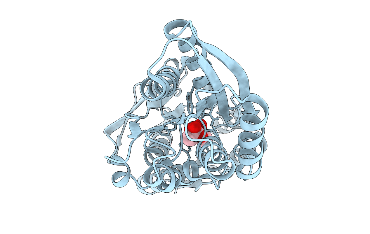 3T95 image