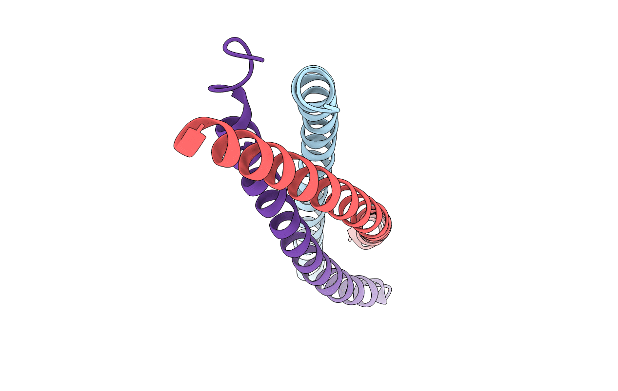 3T97 image
