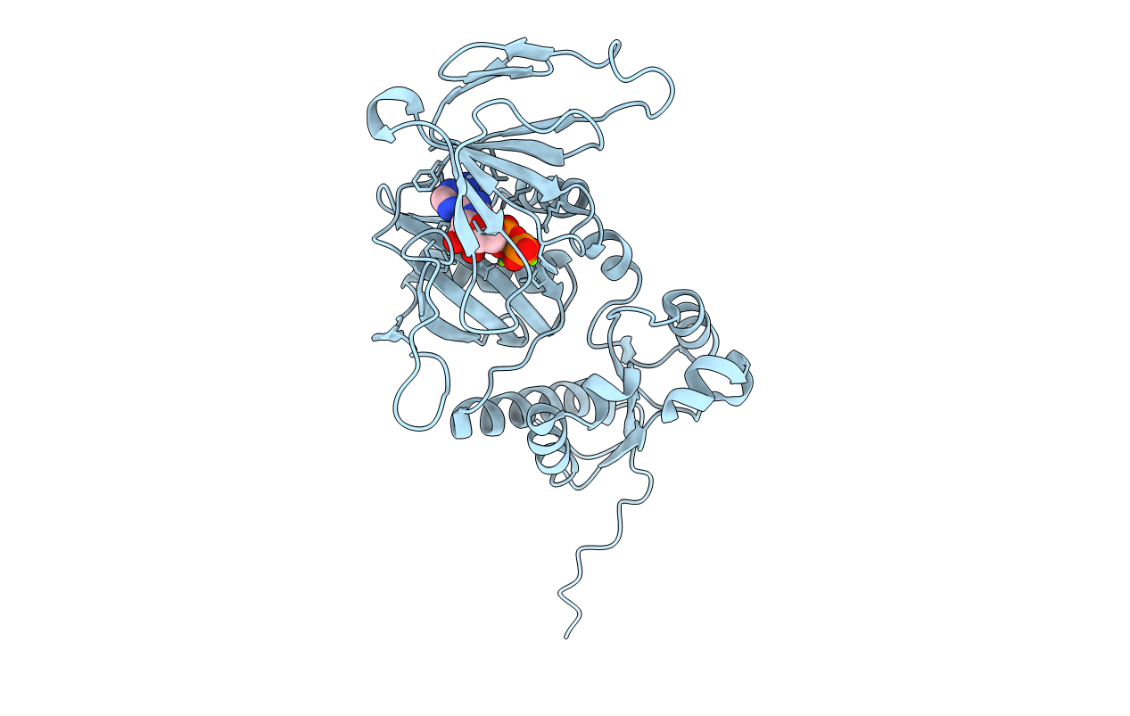 3T99 image