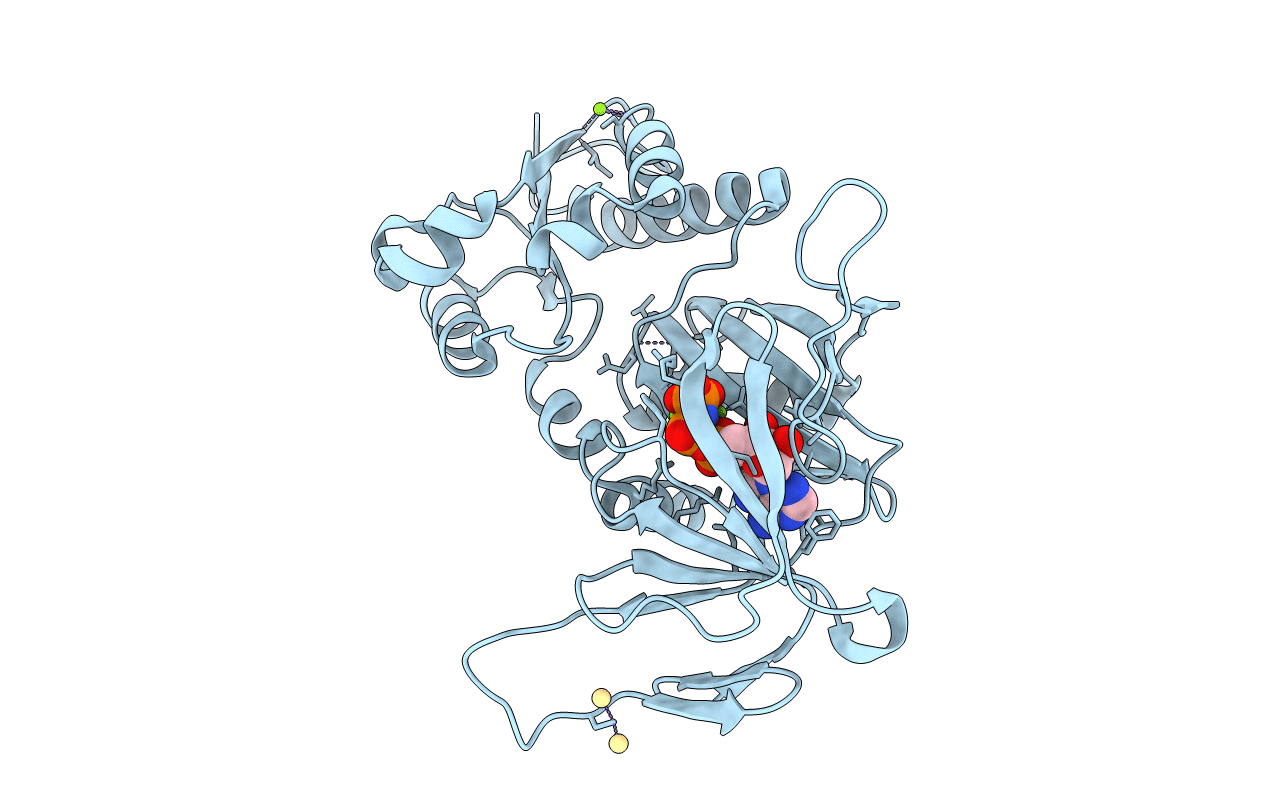 3T9A image