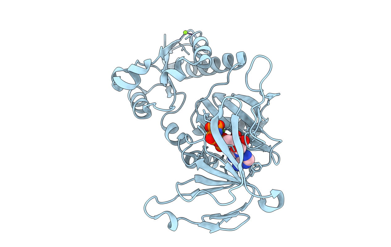 3T9B image