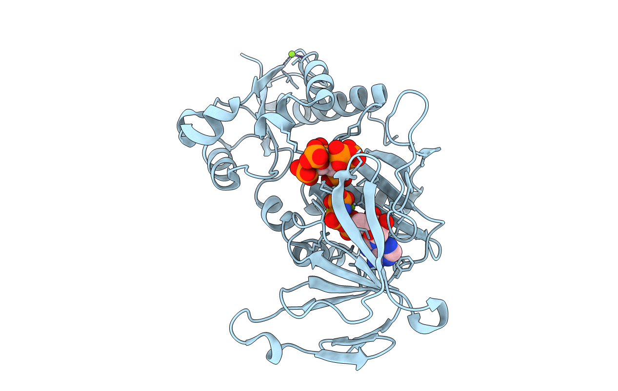 3T9C image
