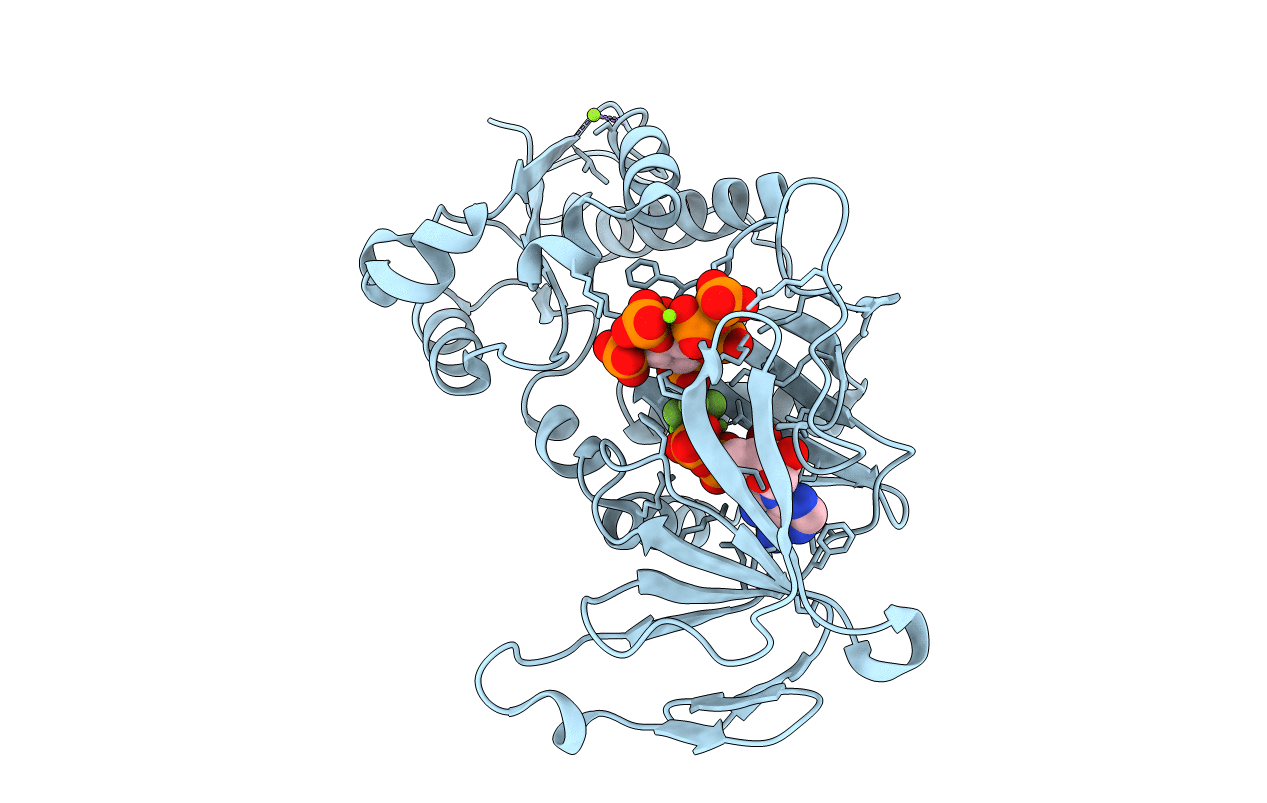 3T9E image