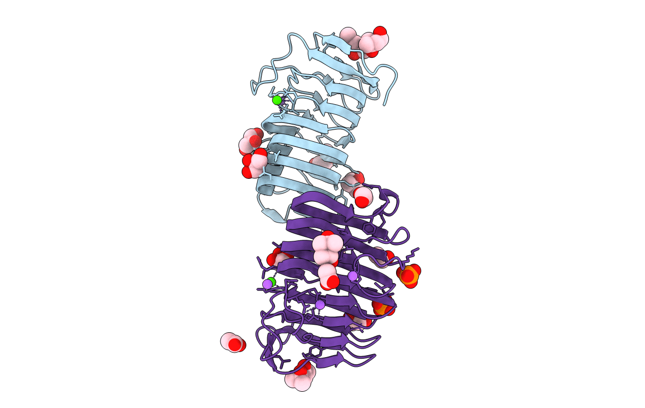 3T9G image