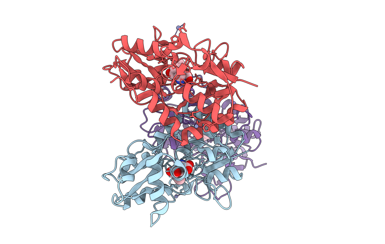 3T9H image