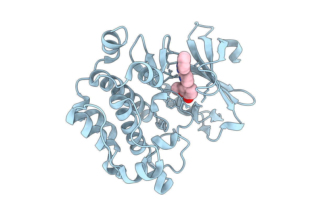 3T9I image