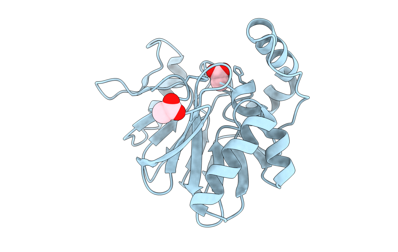 3T9M image