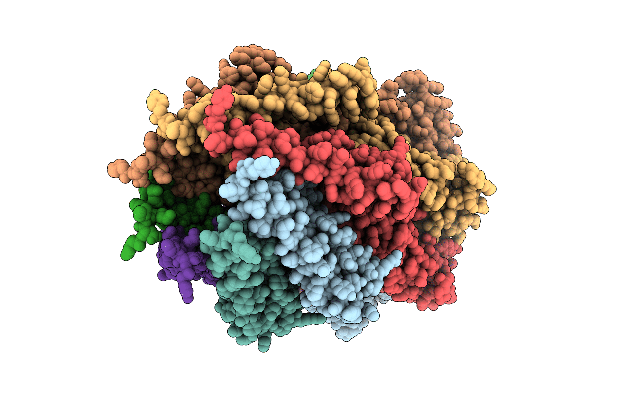 3T9N image