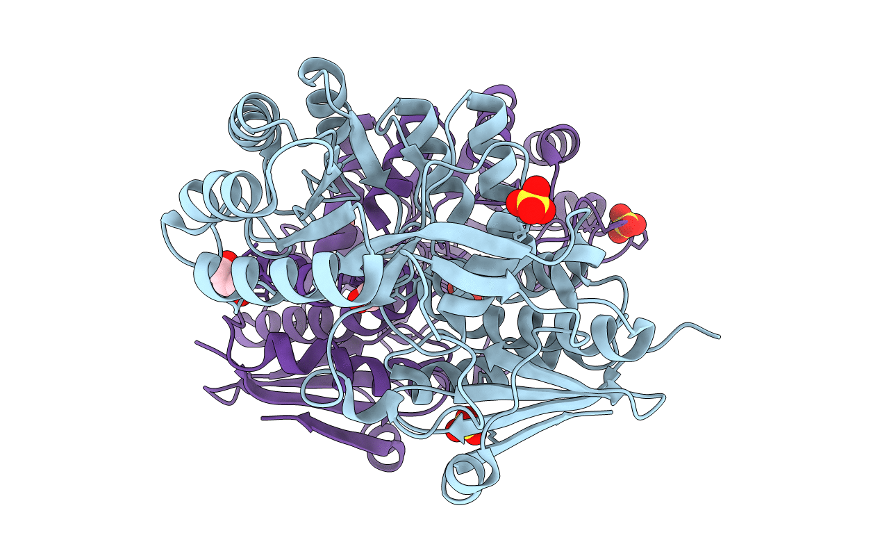 3T9P image