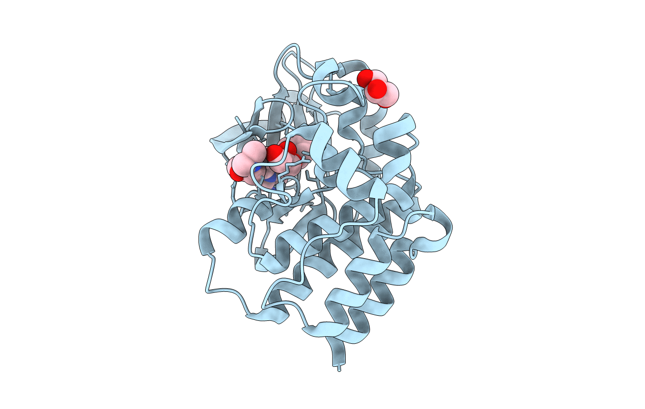 3T9T image