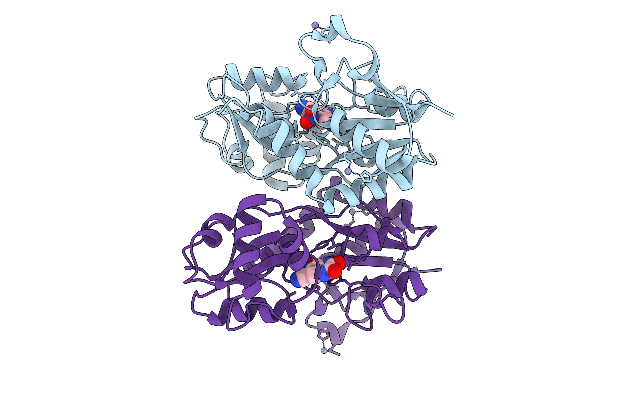 3T9V image