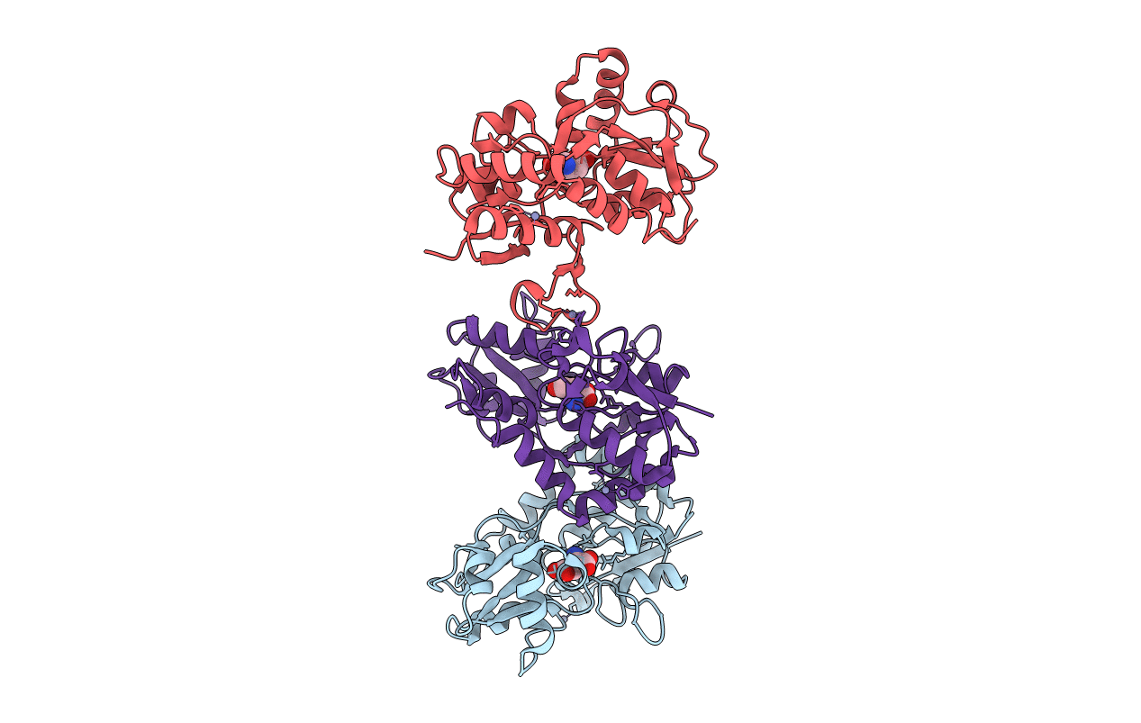 3T9X image