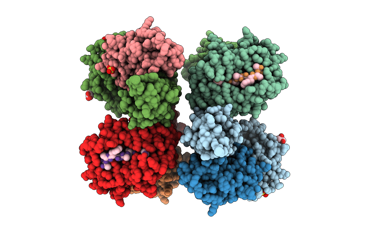 3TBV image