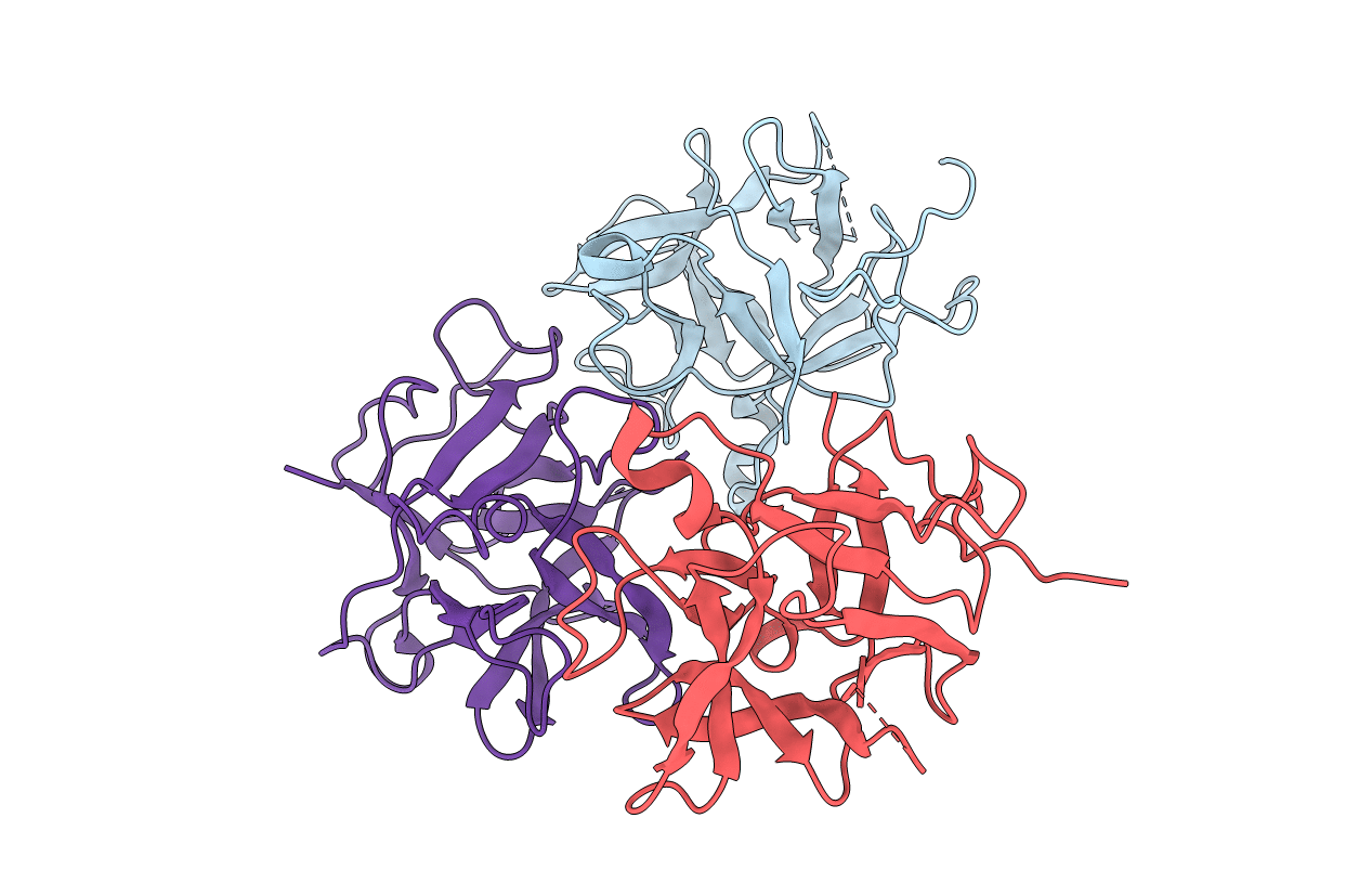 3TC2 image