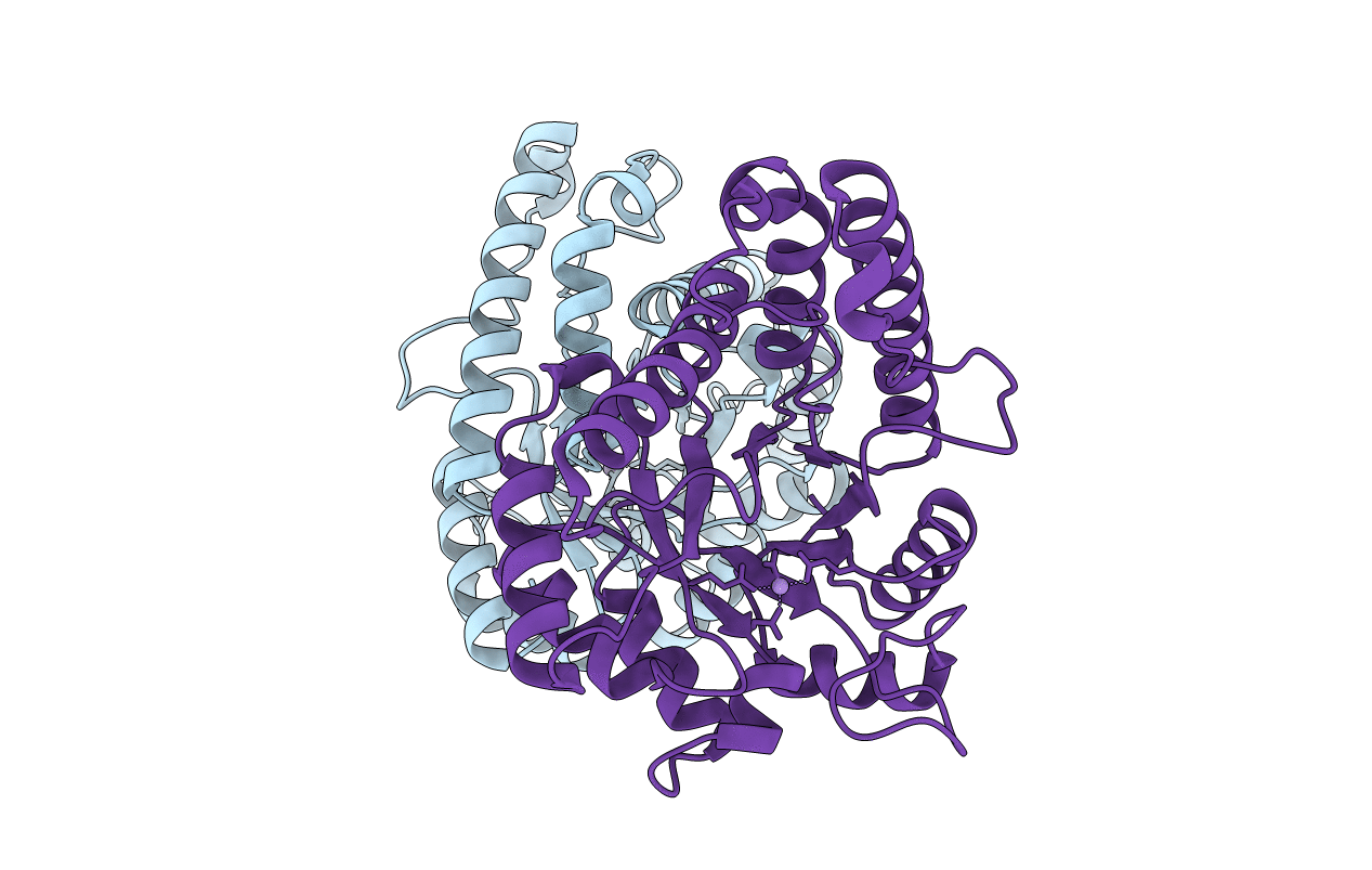 3TC3 image