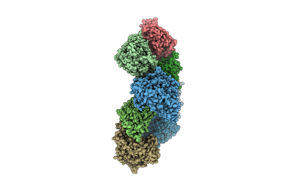 3TCF image